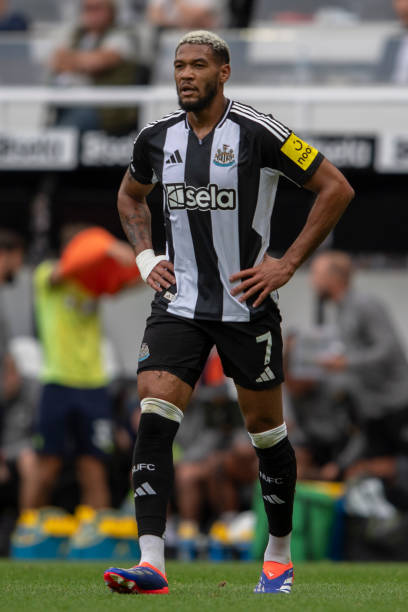 赛重要组成 赛重要组成